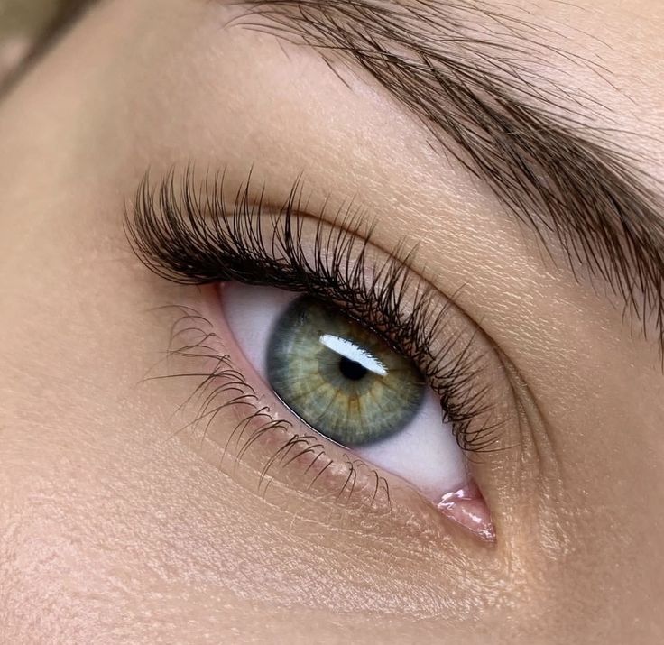 Best Lash Extension Kit In The Industry