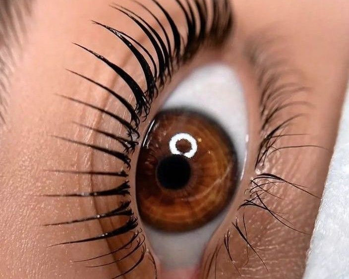 The Ultimate Guide to Lash Lifts & Tints: What You Need to Know