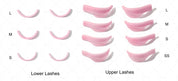 Lash Lift Glueless Shields