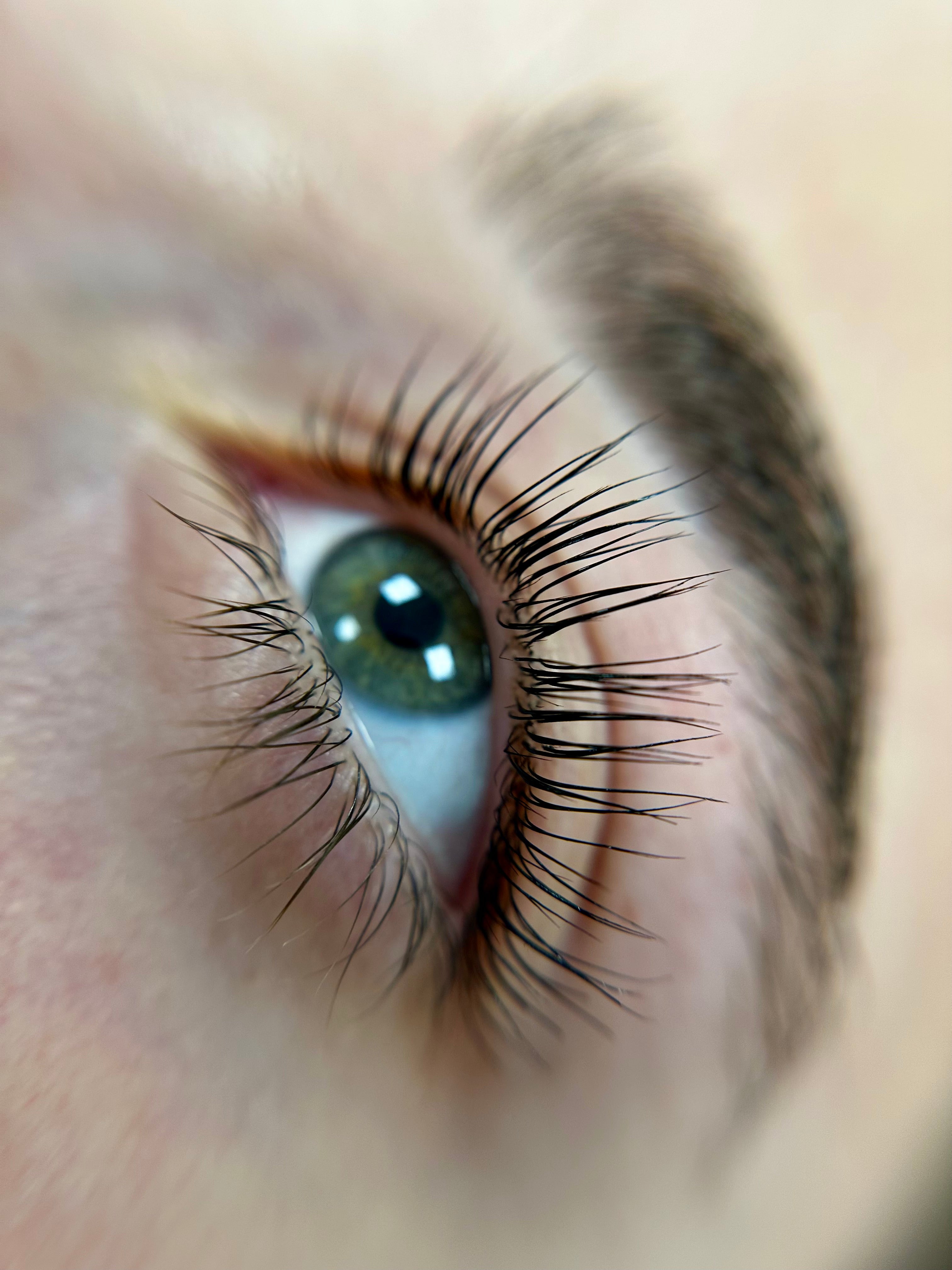 BELLAMARQUE Lash Lift Kit