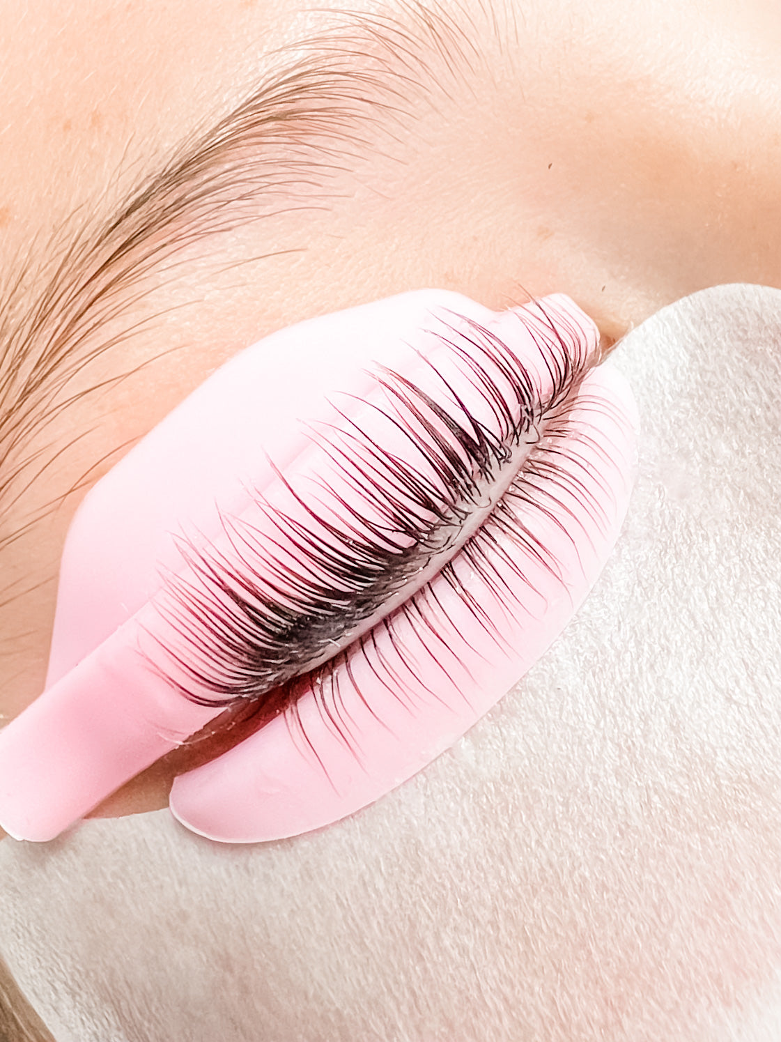 Lash Lift Glueless Shields